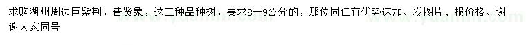 求購8-9公分巨紫荊、普賢象