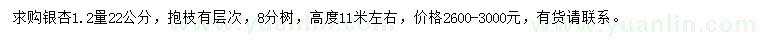 求購1.2米量22公分銀杏