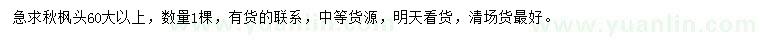 求購60公分以上秋楓