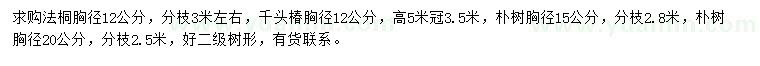 求購法桐、千頭椿、樸樹