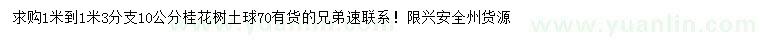 求購10公分桂花樹
