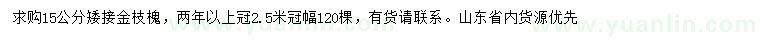 求購(gòu)15公分金枝槐