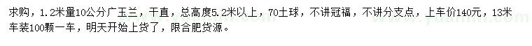 求購1.2米量10公分廣玉蘭