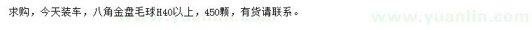 求購高40公分以上八角金盤
