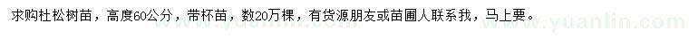 求購高60公分杜松