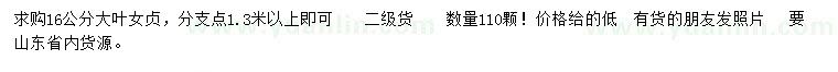 求購16公分大葉女貞