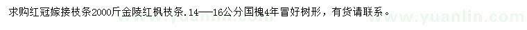 求購金陵紅楓、14-16公分國槐