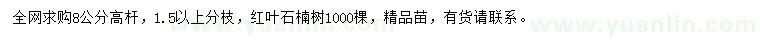 求購(gòu)8公分紅葉石楠樹(shù)