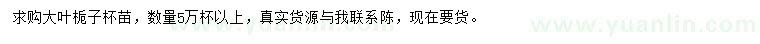 求購大葉梔子