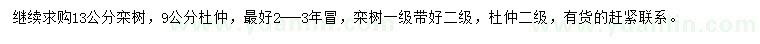 求購13公分欒樹、9公分杜仲
