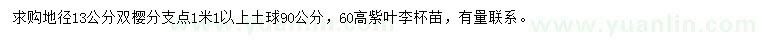 求購地徑13公分雙櫻