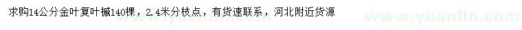 求購(gòu)14公分金葉復(fù)葉槭