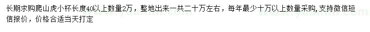 求購長度40公分以上爬山虎