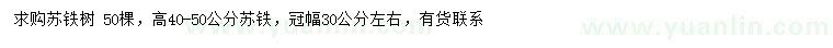 求購高40-50公分蘇鐵