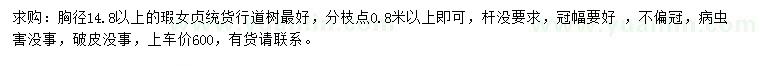 求購(gòu)胸徑14.8公分以上女貞