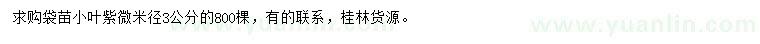 求購米徑3公分小葉紫微