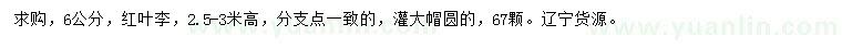 求購6公分紅葉李