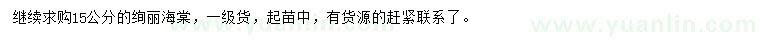 求購15公分絢麗海棠