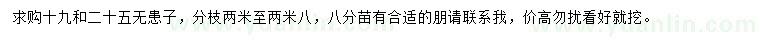 求購19、25公分無患子