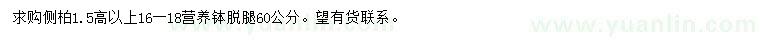 求購(gòu)高1.5米以上側(cè)柏
