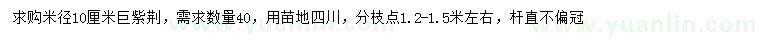 求購米徑10公分巨紫荊