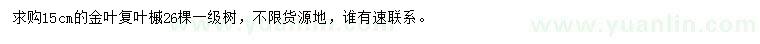 求購15公分金葉復(fù)葉槭