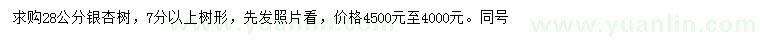 求購28公分銀杏樹