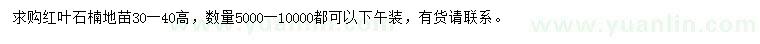 求購高30-40公分紅葉石楠