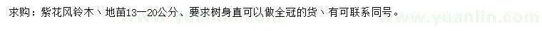 求購13-20公分紫花風(fēng)鈴木