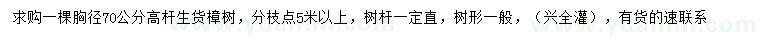 求購(gòu)胸徑70公分高桿樟樹(shù)