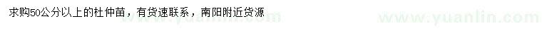 求購50公分以上杜仲