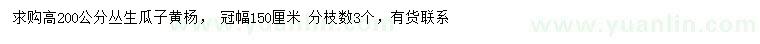 求購高200公分叢生瓜子黃楊