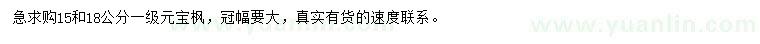 求購15、18公分元寶楓