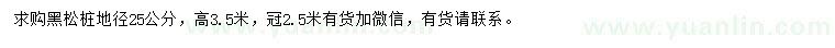 求購地徑25公分黑松樁