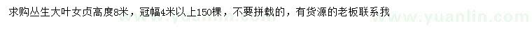 求購(gòu)高8米叢生大葉女貞