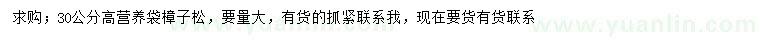 求購高30公分樟子松