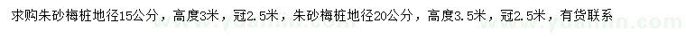 求購(gòu)地徑15、20公分朱砂梅樁