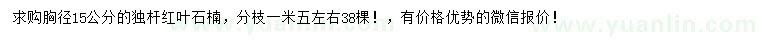 求購胸徑15公分紅葉石楠