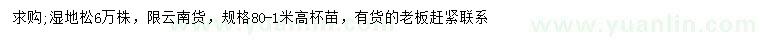 求購(gòu)高0.8-1米濕地松