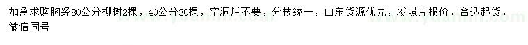 求購(gòu)胸徑40、80公分柳樹(shù)