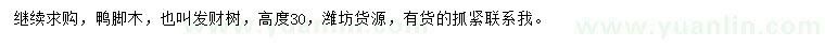 求購高30公分鴨腳木