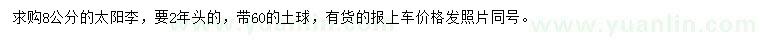 求購8公分太陽李