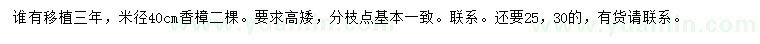 求購米徑40公分香樟