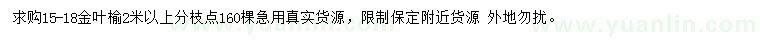 求購15-18公分金葉榆