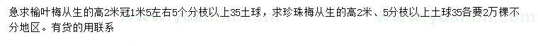 求購(gòu)冠幅1.5米榆葉梅、高2米珍珠梅