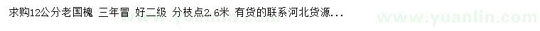 求購12公分老國槐