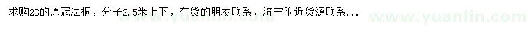 求購23公分法桐