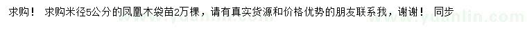 求購米徑5公分鳳凰木