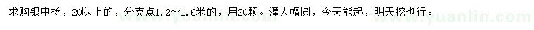 求購20公分以上銀中楊