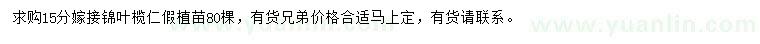求購(gòu)15公分錦葉欖仁